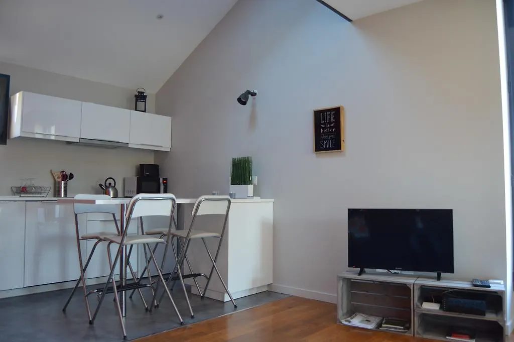 Le Loft De Genas - L'Atelier Et La Villa