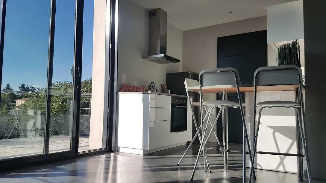Le Loft De Genas - L'Atelier Et La Villa Apartment