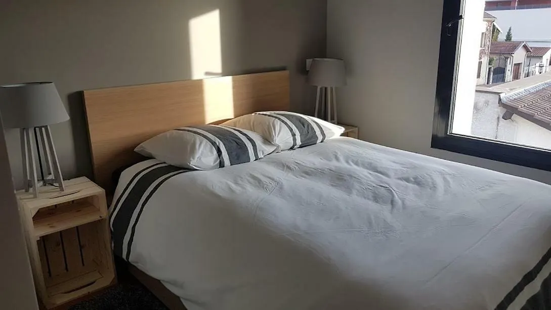 Le Loft De Genas - L'Atelier Et La Villa 0*,